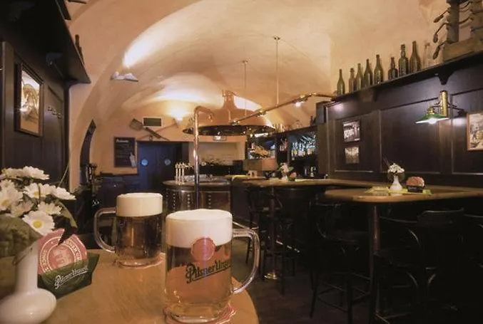 望大酒店 捷克布杰约维采